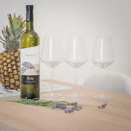 Apartment Holiday 公寓 *